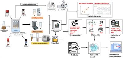 Machine learning-based prediction models unleash the enhanced production of fucoxanthin in Isochrysis galbana